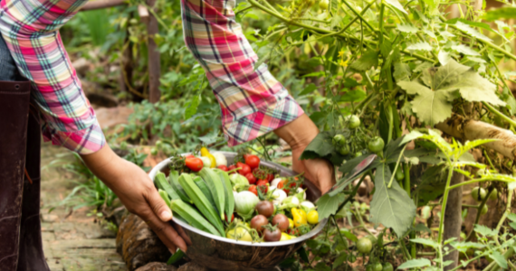 The art of the harvest: Balancing enjoyment and security in retirement